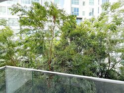 Suites de Laurel (D21), Apartment #604229851